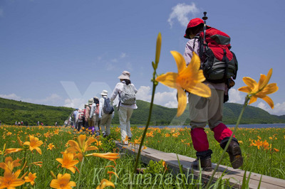_MG_2224.jpg