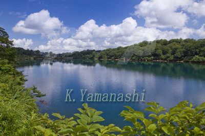 _MG_2628.JPG
