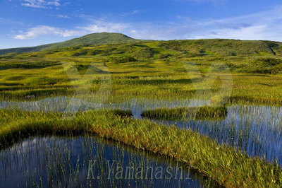 _MG_2892.jpg