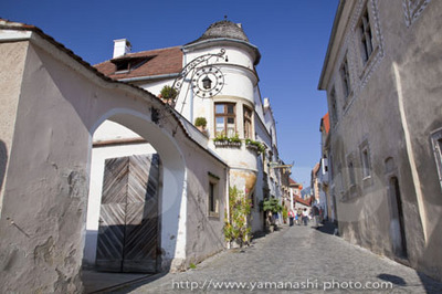 _MG_3317.JPG