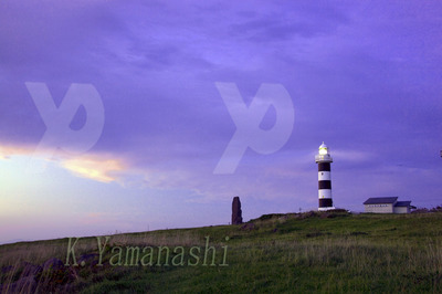 _MG_3618.jpg