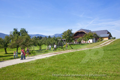 _MG_3956.JPG