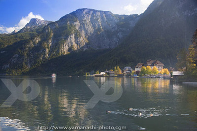 _MG_4047.JPG