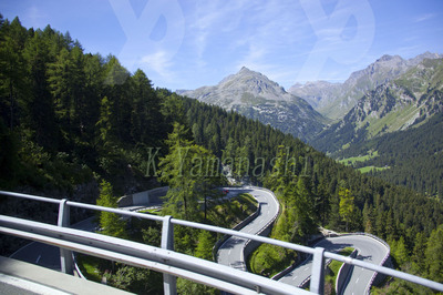 _MG_4063.JPG