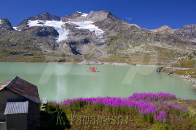 _MG_4534.JPG