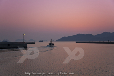 _MG_4582.jpg
