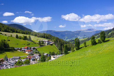 _MG_5254.JPG