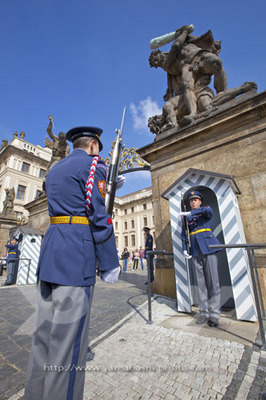 _MG_5344.JPG