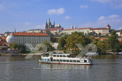 _MG_5440.JPG