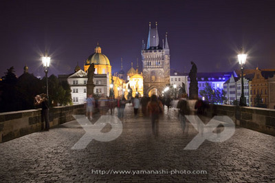 _MG_5786.JPG
