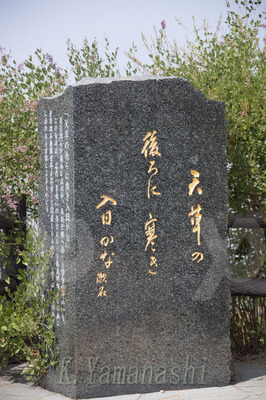 _MG_6518.jpg