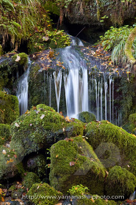 _MG_6553.JPG