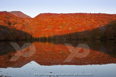 _MG_6721.JPG