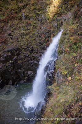 _MG_6786.JPG