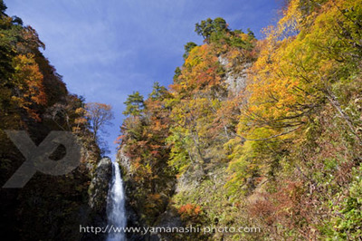 _MG_6805.JPG