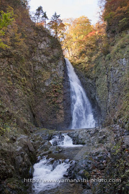 _MG_6827.JPG