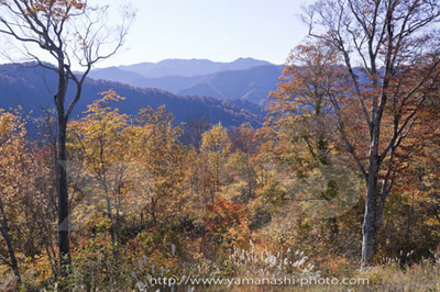 _MG_6863.JPG