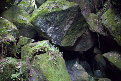 _MG_7013_1.JPG