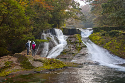 _MG_7595_1.JPG