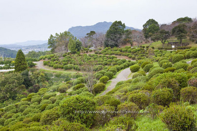 _MG_7598.JPG