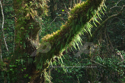 _MG_7633.JPG