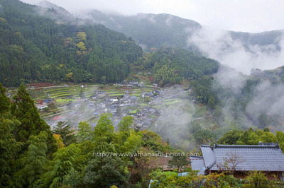 _MG_7675.JPG
