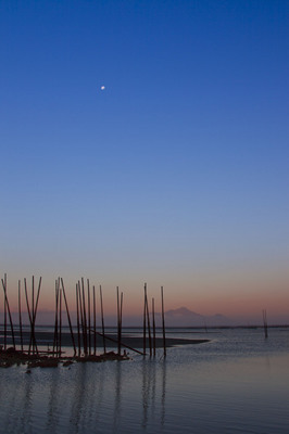 _MG_7711.JPG