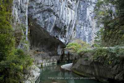 _MG_7738.JPG