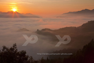 _MG_7793.JPG