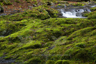 _MG_7796.JPG