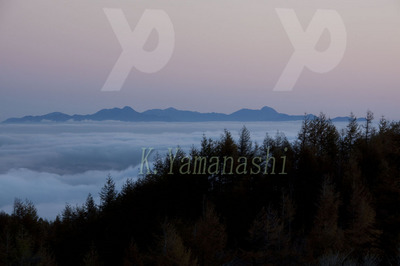 _MG_8428.JPG