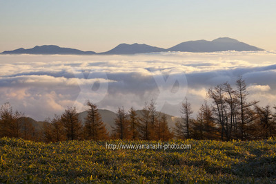 _MG_8473.JPG