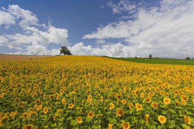 _MG_9534.JPG