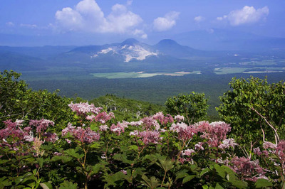 _MG_9708.JPG
